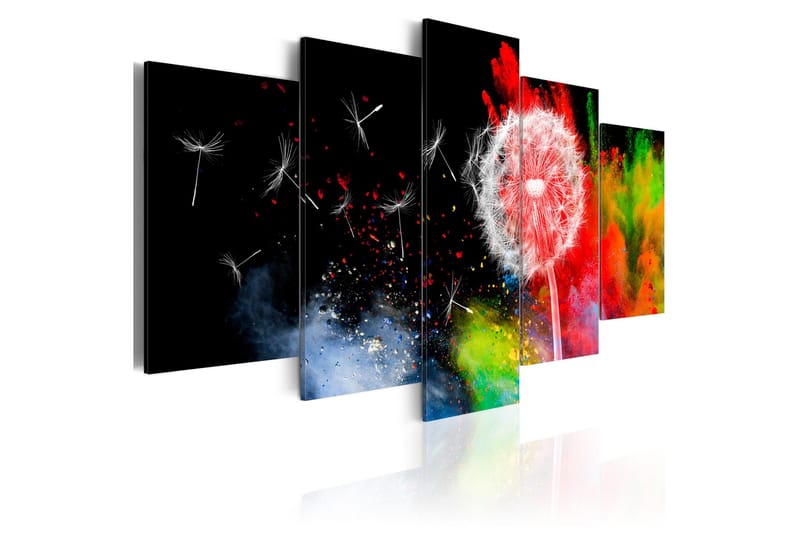 Billede Festival Of Colours 200x100, Artgeist sp. z o. o.