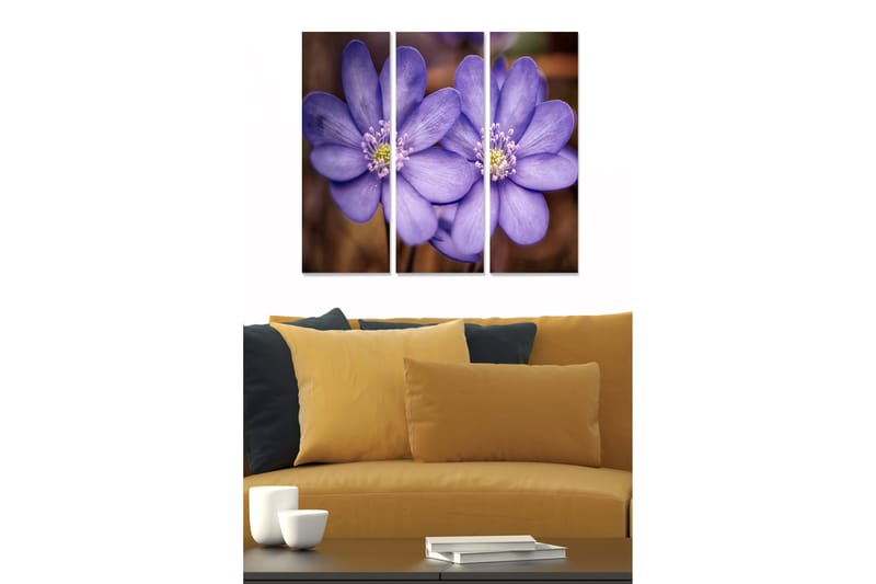 Billede Floral 3 stk Flerfarvet - 22x05 cm - Boligtilbehør - Billeder & kunst - Billeder på lærred