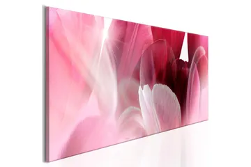 Billede Flowers Pink Tulips 135x45 - Artgeist sp. z o. o. - Boligtilbehør - Billeder & kunst - Billeder på lærred