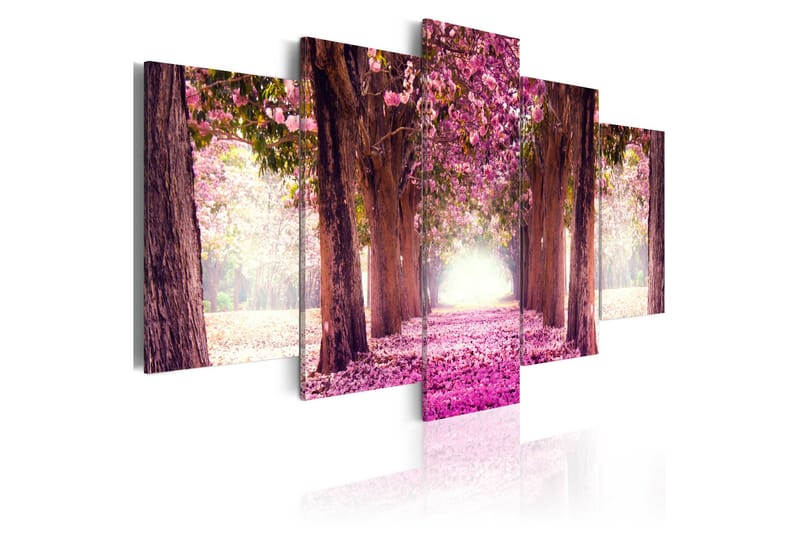 Billede Follow The Beauty 100x50, Artgeist sp. z o. o.
