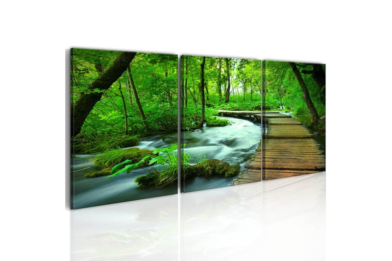 Billede Forest Broadwalk Triptych 120x40, Artgeist sp. z o. o.
