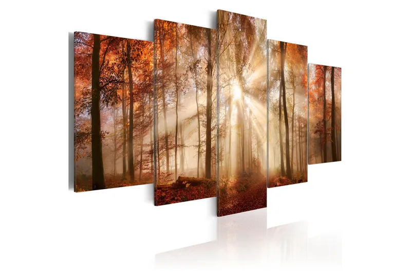 Billede Forest Fog 100x50, Artgeist sp. z o. o.