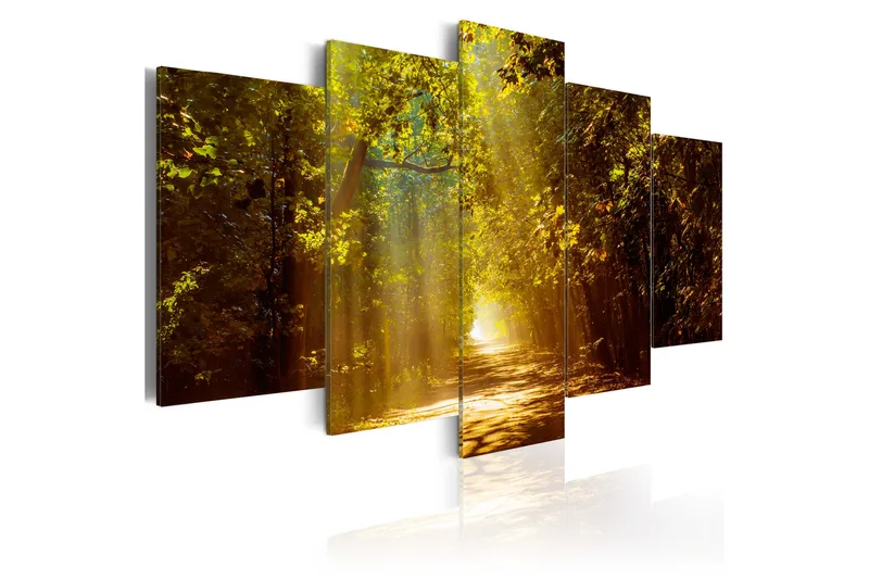 Billede Forest In The Sunlight 100x50, Artgeist sp. z o. o.
