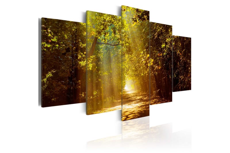 Billede Forest In The Sunlight 200x100, Artgeist sp. z o. o.