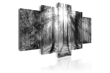 Billede Forest Of Memories 200x100 - Artgeist sp. z o. o. - Boligtilbehør - Billeder & kunst - Billeder på lærred