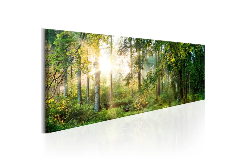 Billede Forest Shelter 135x45, Artgeist sp. z o. o.