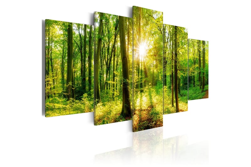 Billede Forest Tale 100x50, Artgeist sp. z o. o.
