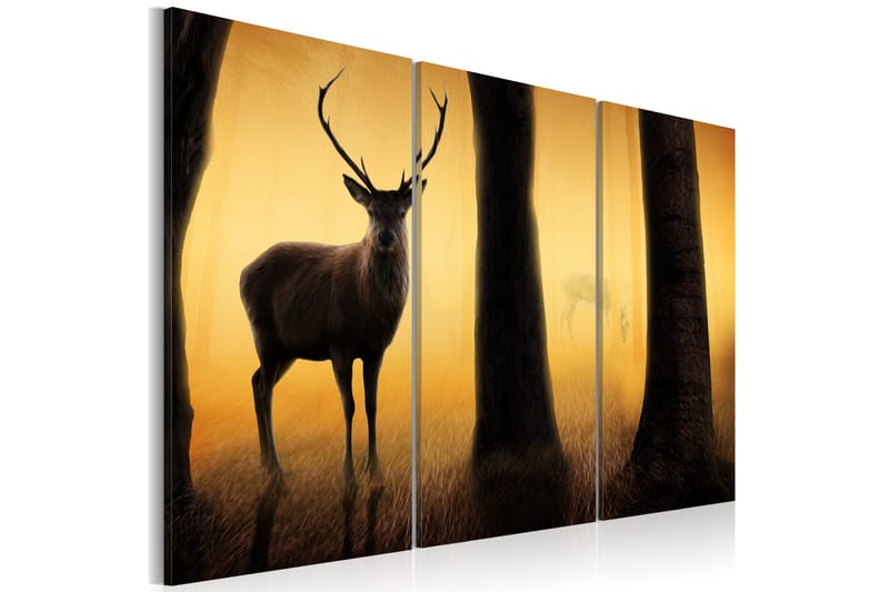 Billede Forest Vakt 60x40, Artgeist sp. z o. o.