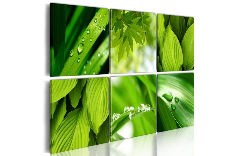 Billede Fresh Green Leaves 120x80, Artgeist sp. z o. o.