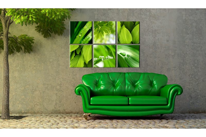 Billede Fresh Green Leaves 60x40 - Artgeist sp. z o. o. - Boligtilbehør - Billeder & kunst - Billeder på lærred