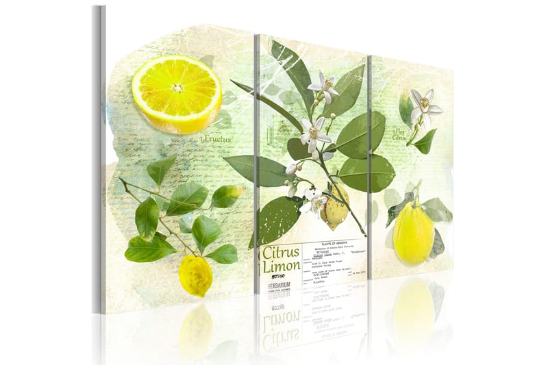Billede Fruit Lemon 60x40, Artgeist sp. z o. o.