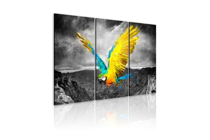 Billede Fugl-Af-Paradis 60x40, Artgeist sp. z o. o.