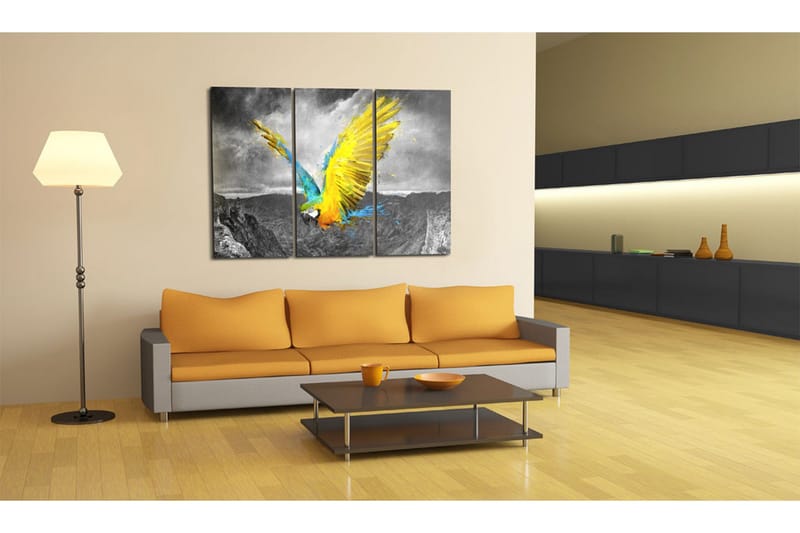 Billede Fugl-Af-Paradis 60x40 - Artgeist sp. z o. o. - Boligtilbehør - Billeder & kunst - Billeder på lærred