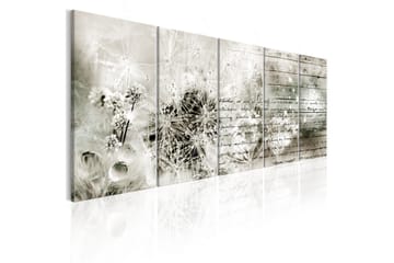 Billede Full Of Secrets 200x80