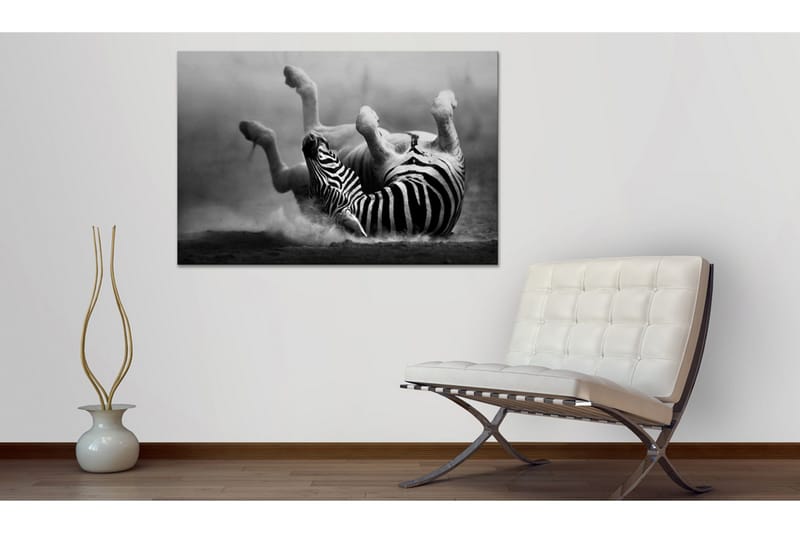 Billede Fun in the Dust 120x80, Artgeist sp. z o. o.