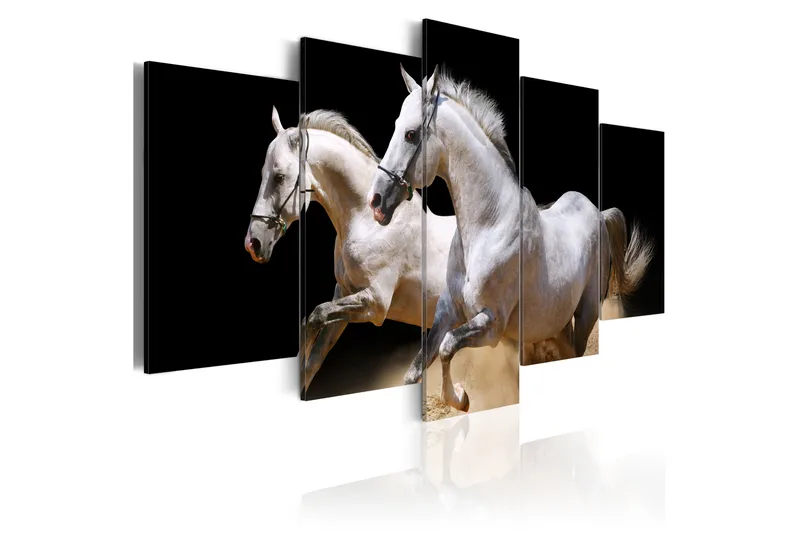 Billede Gallop- Freedom And Power 100x50, Artgeist sp. z o. o.