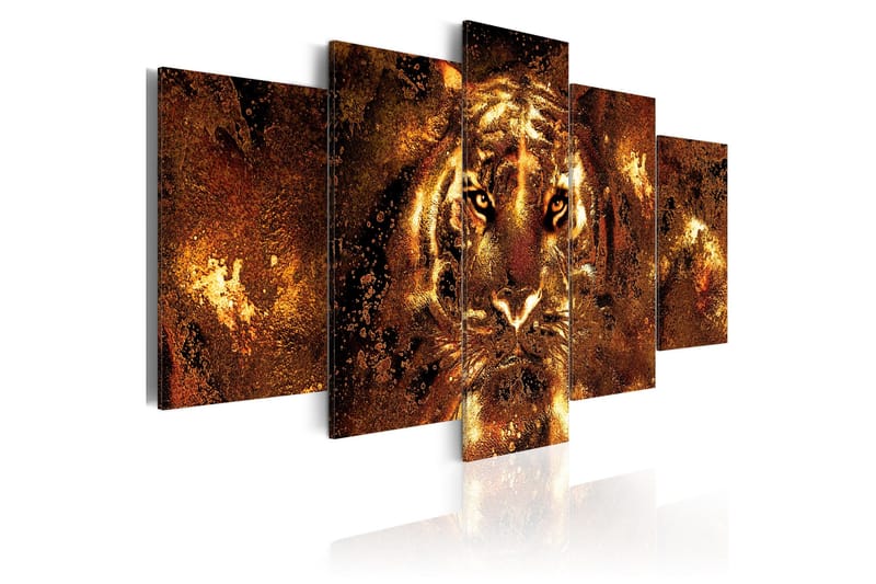 Billede Golden Tiger 100x50, Artgeist sp. z o. o.