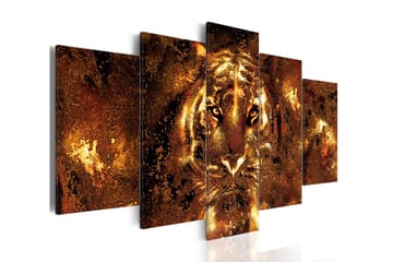 Billede Golden Tiger 200x100