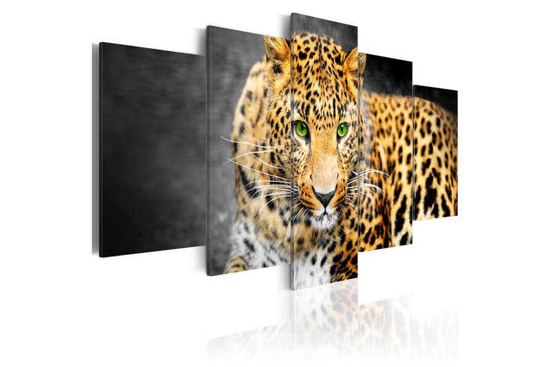 Billede Green-Eyed Leopard 100x50 - Artgeist sp. z o. o. - Billeder på lærred