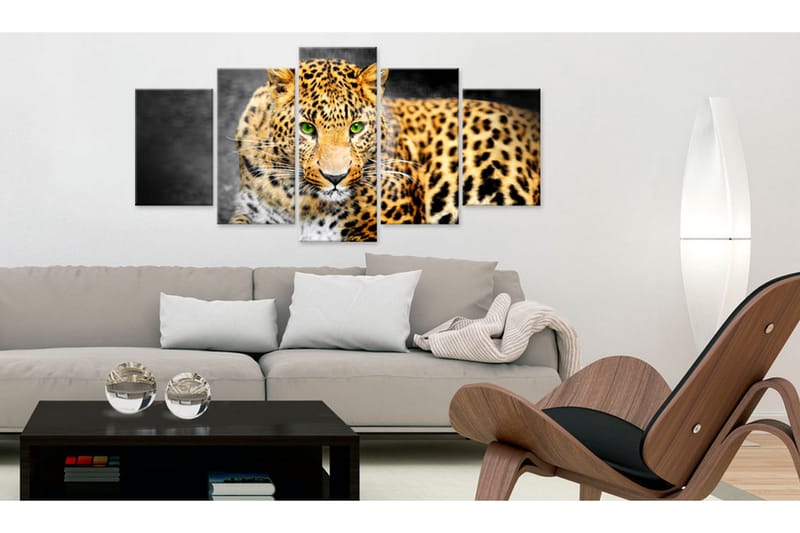 Billede Green-Eyed Leopard 100x50 - Artgeist sp. z o. o. - Billeder på lærred