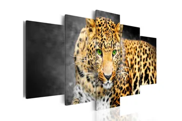Billede Green-Eyed Leopard 200x100 - Artgeist sp. z o. o. - Boligtilbehør - Billeder & kunst - Billeder på lærred