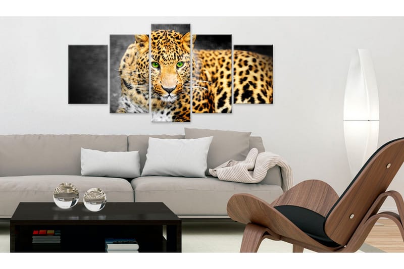 Billede Green-Eyed Leopard 200x100 - Artgeist sp. z o. o. - Boligtilbehør - Billeder & kunst - Billeder på lærred