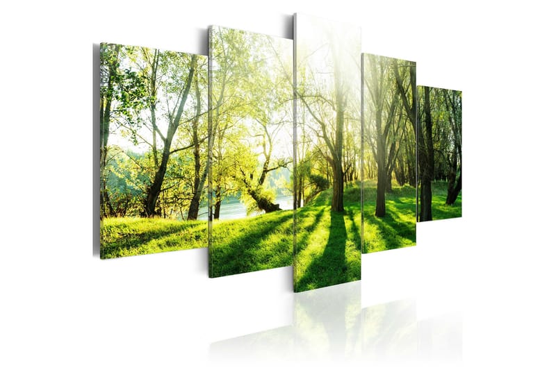 Billede Green Glade 100x50, Artgeist sp. z o. o.