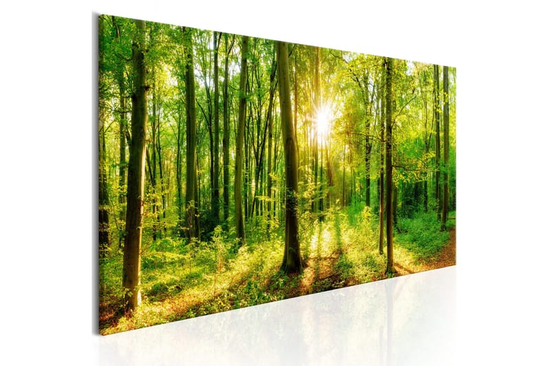 Billede Green Magic 120x40, Artgeist sp. z o. o.