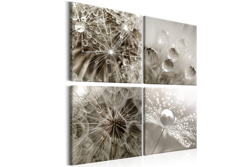Billede Grey Dandelion 80x80, Artgeist sp. z o. o.