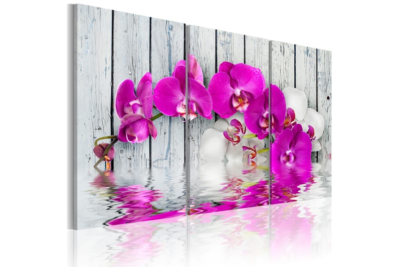 Billede Harmony Orchid Triptych 120x80, Artgeist sp. z o. o.