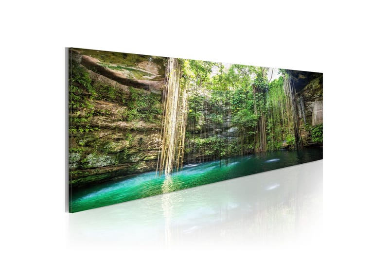 Billede Hidden Treasure Of The Nature 120x40, Artgeist sp. z o. o.