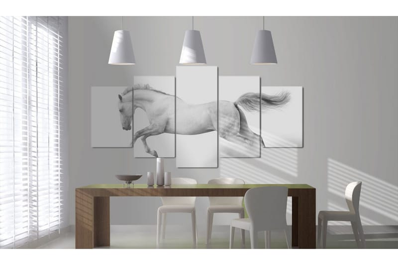 Billede Horse- Passion And Freedom 100x50 - Artgeist sp. z o. o. - Boligtilbehør - Billeder & kunst - Billeder på lærred
