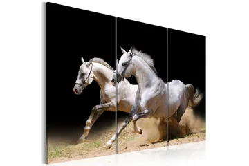 Billede Horses- Power And Velocity 120x80