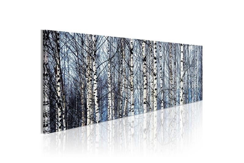 Billede Hvide Birketræer 120x40 - Artgeist sp. z o. o. - Boligtilbehør - Billeder & kunst - Billeder på lærred