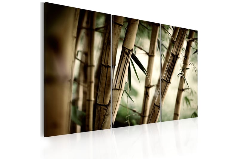 Billede In A Tropical Forest 120x80, Artgeist sp. z o. o.
