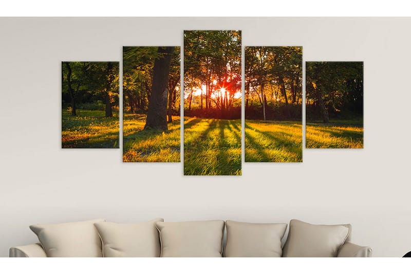 Billede In The Shade Of Forest 100x50 - Artgeist sp. z o. o. - Boligtilbehør - Billeder & kunst - Billeder på lærred