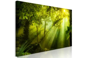 Billede In the Sunshine (1 del) Smal 135x45 - Artgeist sp. z o. o. - Boligtilbehør - Billeder & kunst - Billeder på lærred