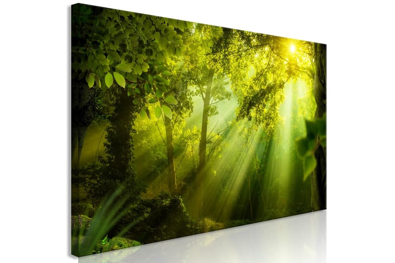 Billede In the Sunshine (1 del) Smal 135x45 - Artgeist sp. z o. o. - Boligtilbehør - Billeder & kunst - Billeder på lærred