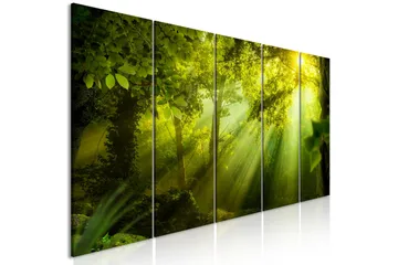 Billede In The Sunshine 5 Parts Narrow 200x80 - Artgeist sp. z o. o. - Boligtilbehør - Billeder & kunst - Billeder på lærred