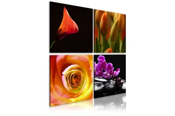 Billede Kernen Af Skønhed 80x80 - Artgeist sp. z o. o. - Boligtilbehør - Billeder & kunst - Billeder på lærred