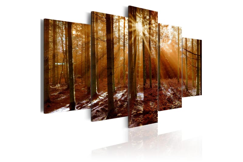 Billede Kiss Of Autumn 200x100, Artgeist sp. z o. o.
