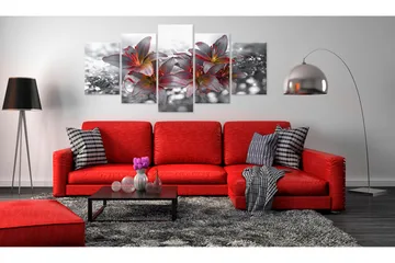 Billede Kiss Of Fire 100x50 - Artgeist sp. z o. o. - Boligtilbehør - Billeder & kunst - Billeder på lærred