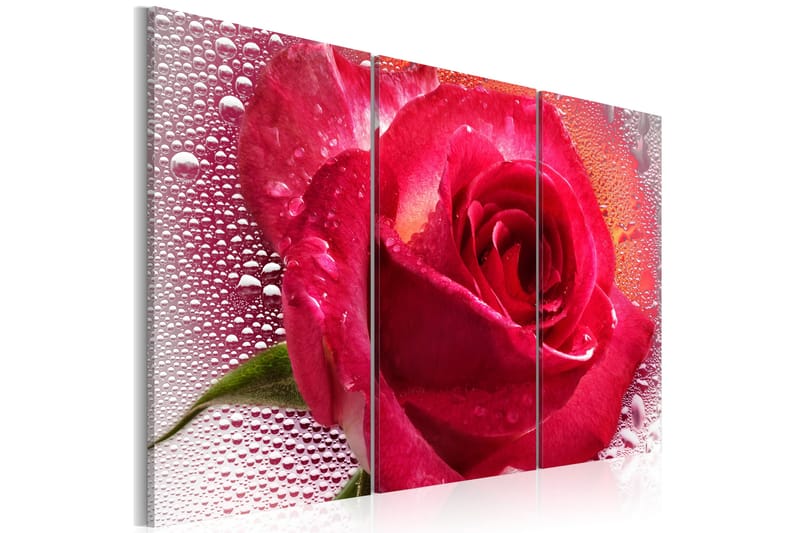 Billede Lady Rose trekant 90x60, Artgeist sp. z o. o.