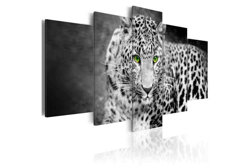 Billede Leopard Black&White 200x100, Artgeist sp. z o. o.