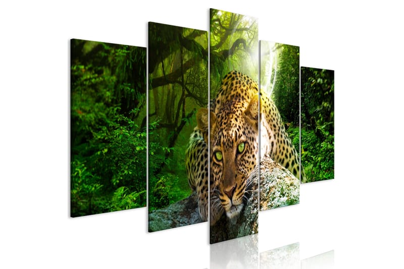 Billede Leopard Lying 5 Parts Wide Green 200x100, Artgeist sp. z o. o.