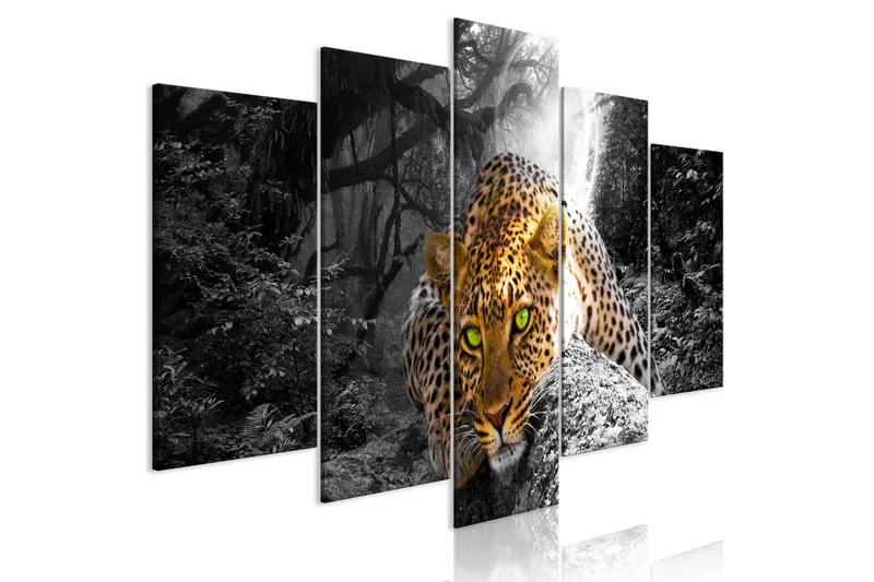 Billede Leopard Lying 5 Parts Wide Grey 200x100, Artgeist sp. z o. o.
