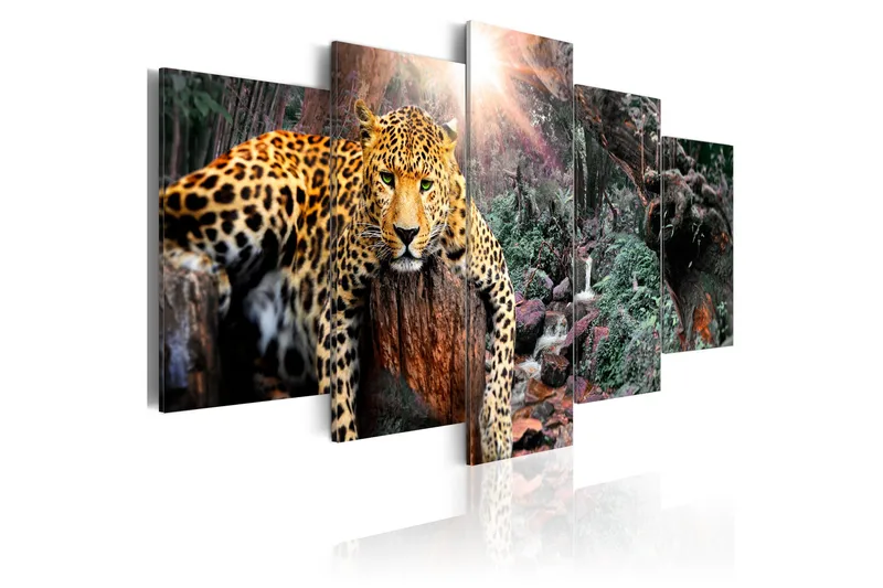 Billede Leopard Relaxation 100x50 - Artgeist sp. z o. o. - Boligtilbehør - Billeder & kunst - Billeder på lærred