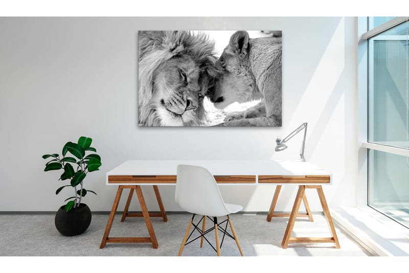 Billede Lion's Love 120x80, Artgeist sp. z o. o.
