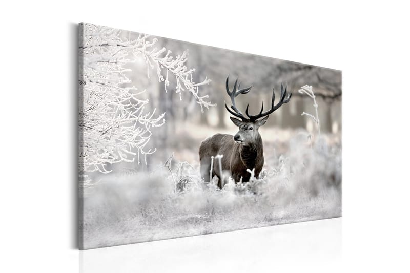 Billede Lonely Deer 90x60, Artgeist sp. z o. o.