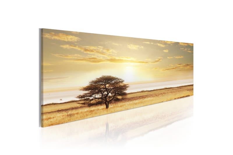 Billede Lonely Tree On Savannah 120x40 - Artgeist sp. z o. o. - Boligtilbehør - Billeder & kunst - Billeder på lærred